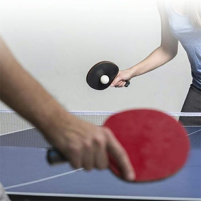 Portable Table Tennis Net Poly - đánh giá và giá Table Tennis Online