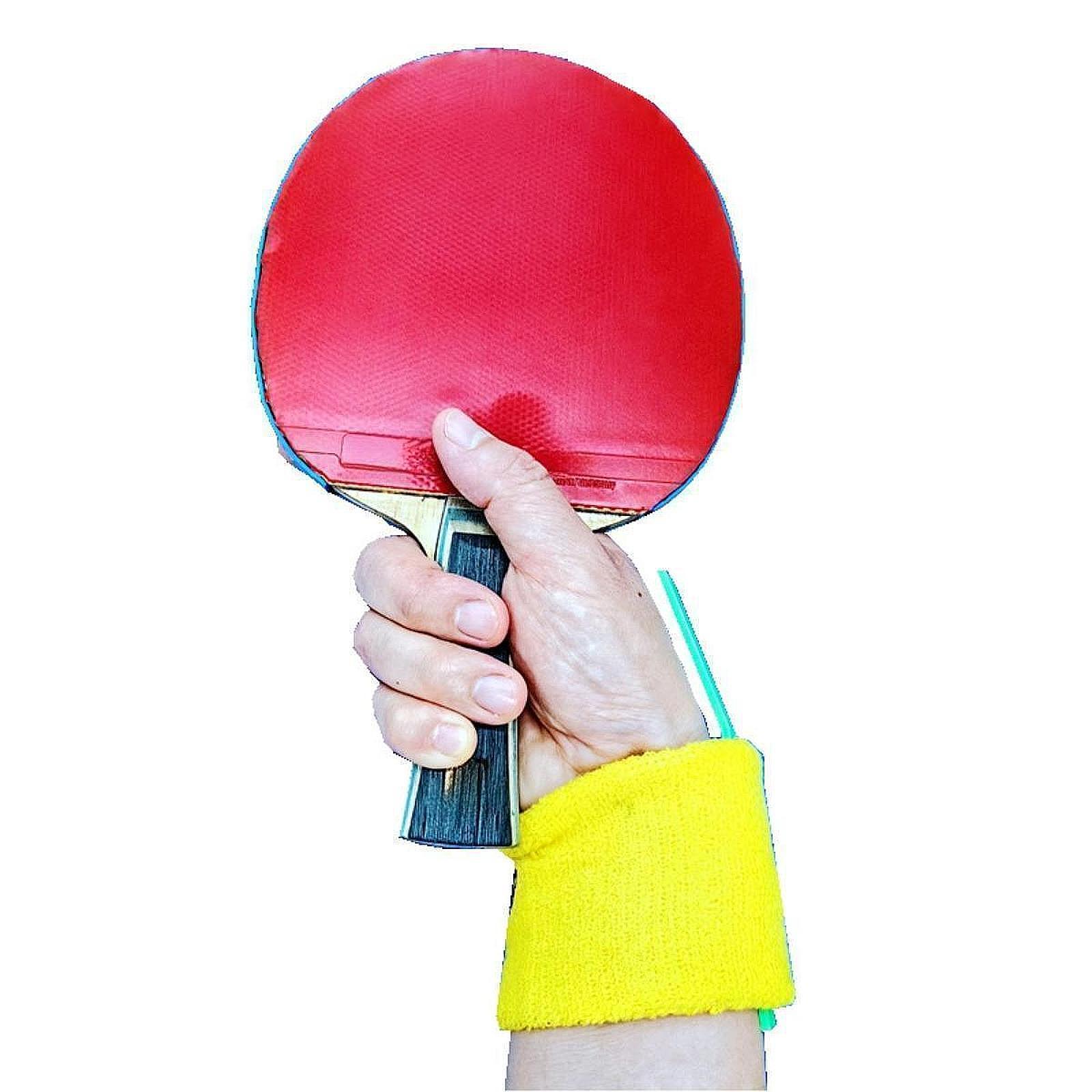 Table Tennis Training Wrist Po - đánh giá và giá Table Tennis Is Played With A